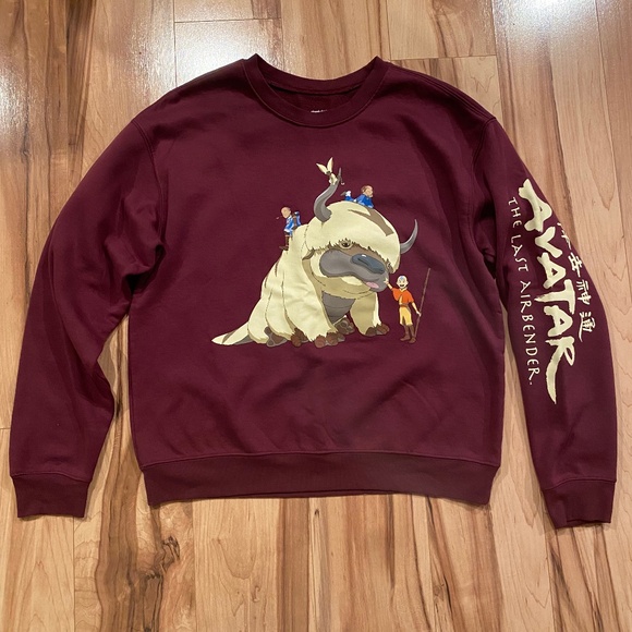 SALE!!! Nickelodeon Avatar Sweatshirt—Adult Unisex XL - Picture 1 of 6